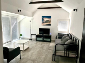 Open Space Apartment
